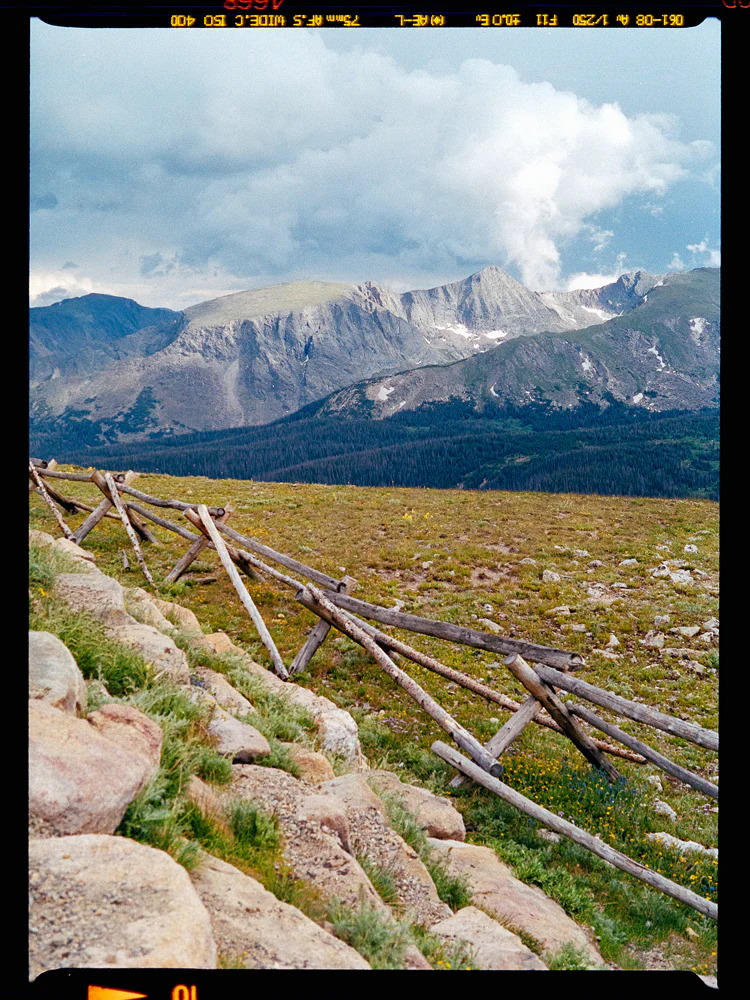 Cinestill 400D :: Color - Image 7