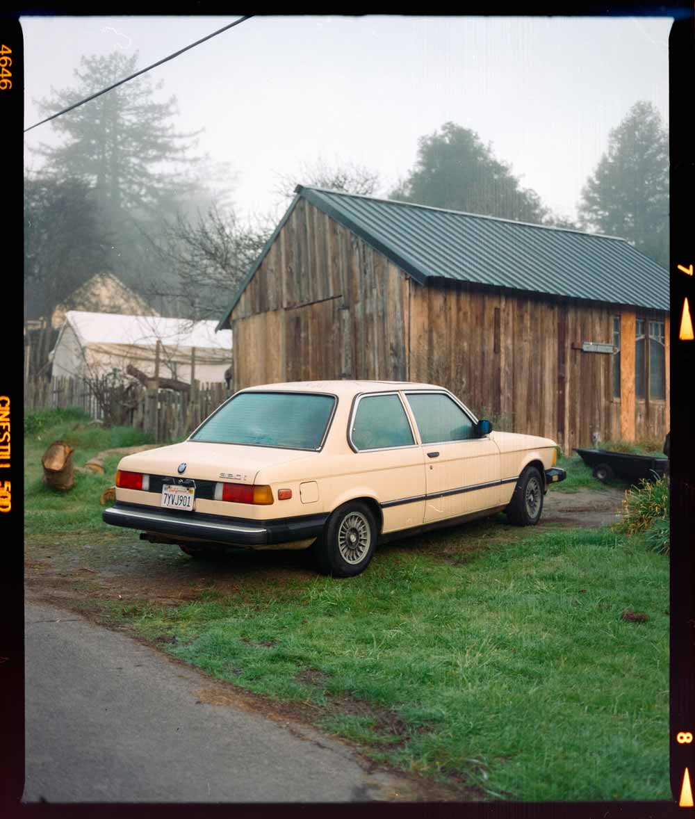 Cinestill 50D :: Color - Image 8