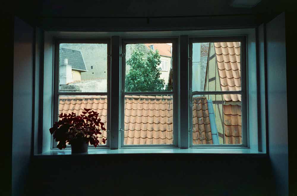 Cinestill 800T :: Color - Image 5