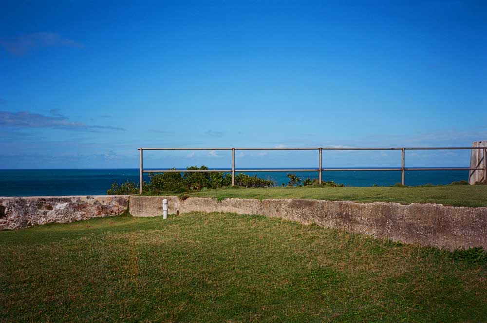 Kodak Ektar 100 :: Color - Image 4