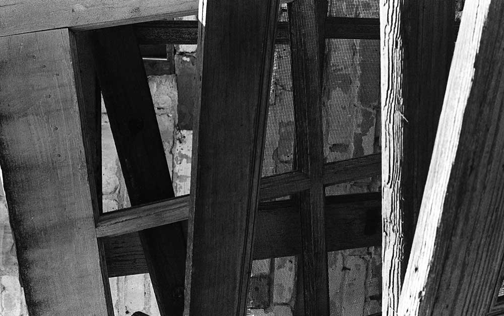 Eastman Kodak Tri-X 400 - B&W - Image 5