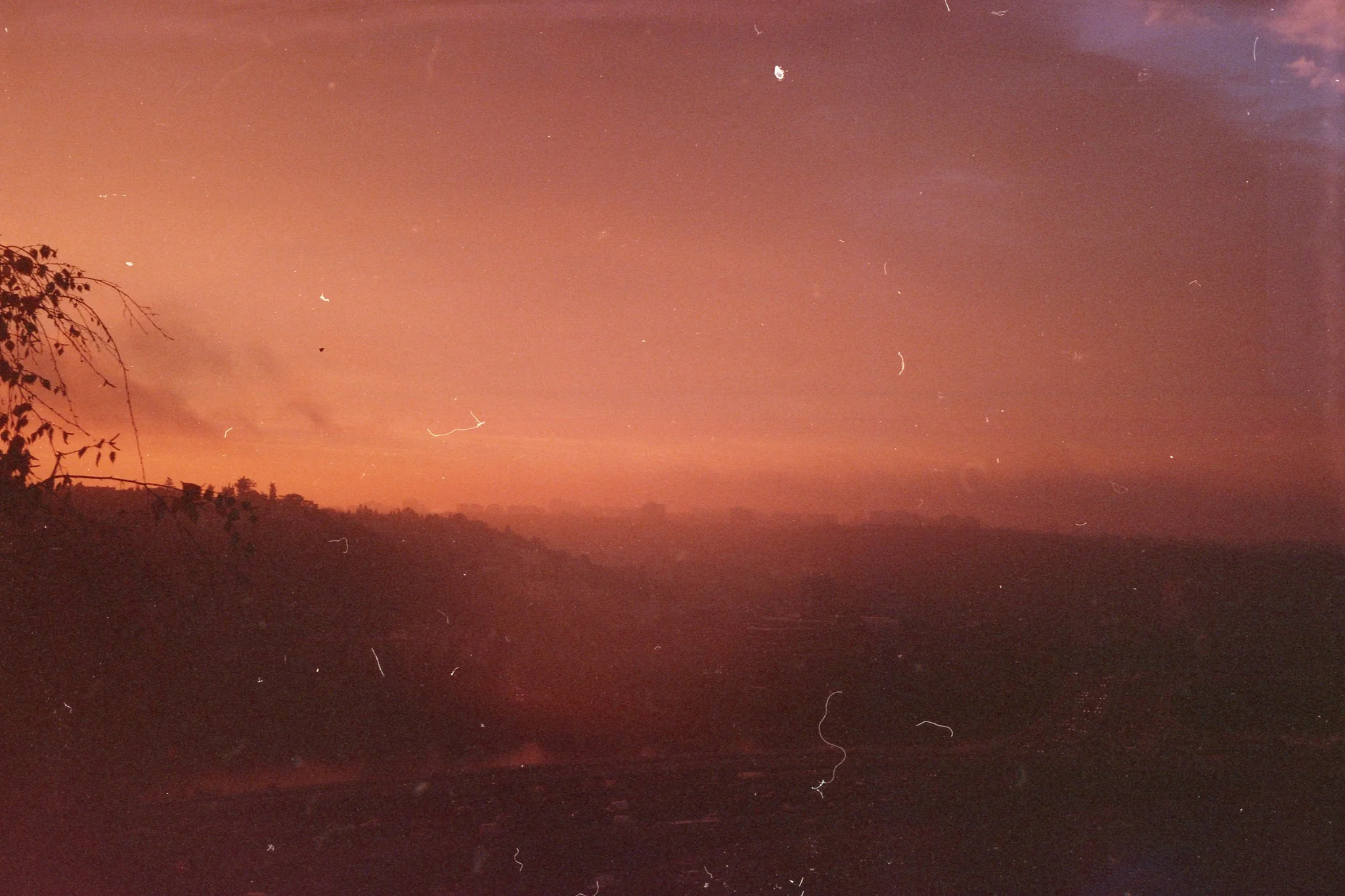 Random Expired Film - Image 3