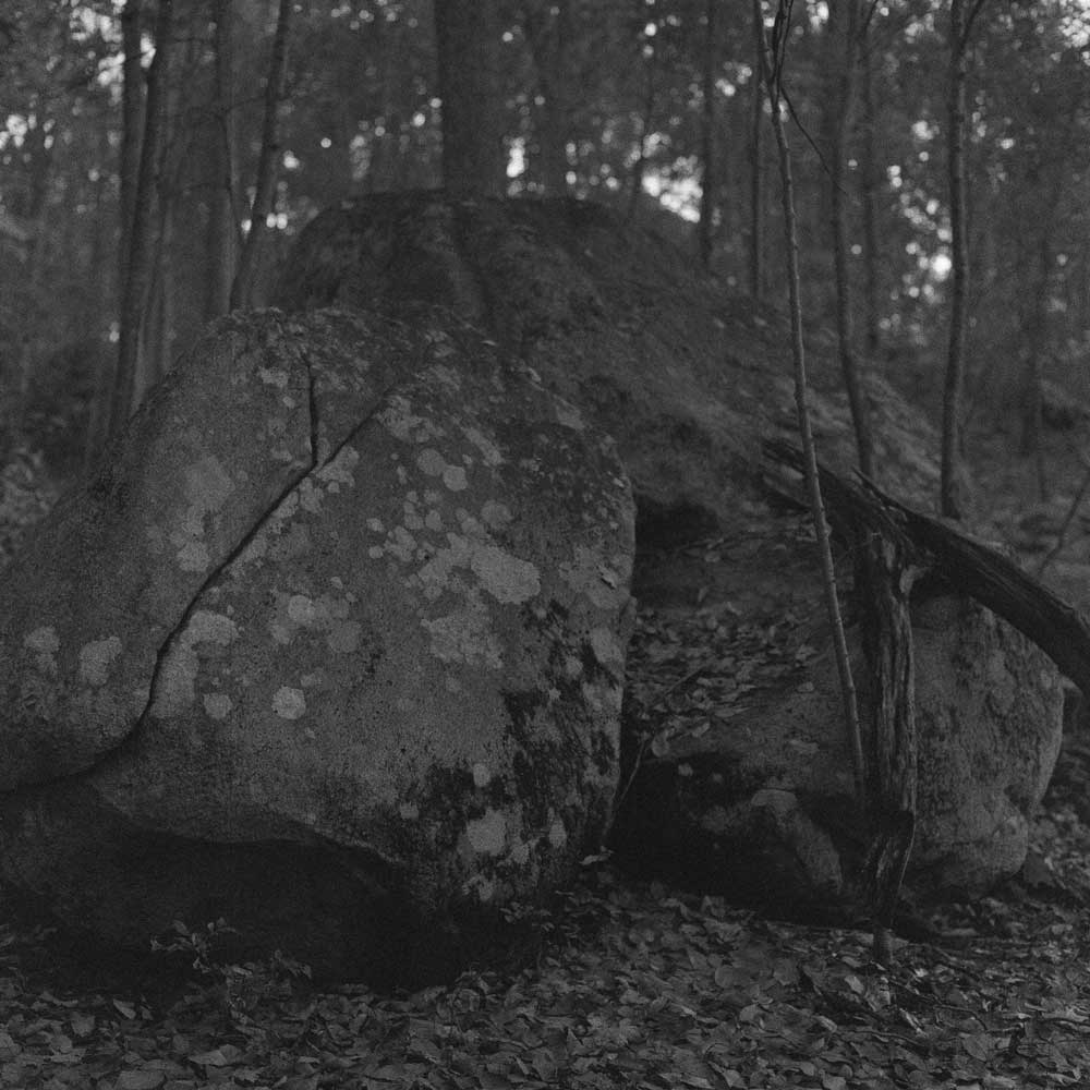 Ilford Delta 3200 :: B&W - Image 6