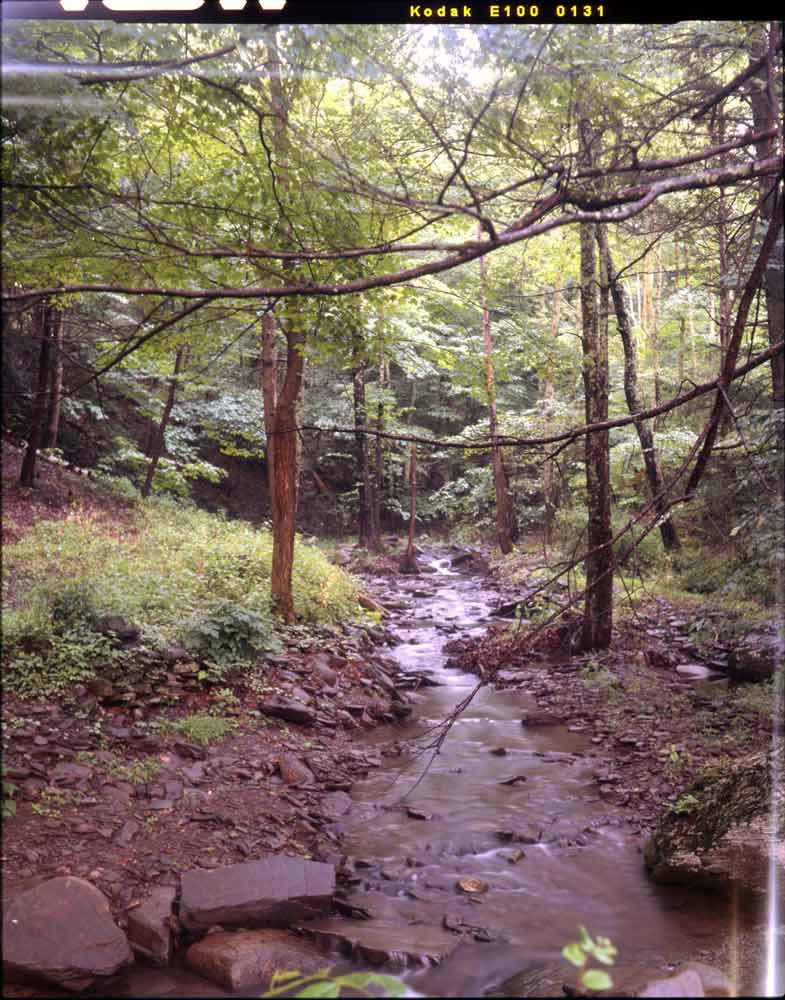 Kodak E100 | 4x5 inch Color Positive Film (Slide Film) - Image 3
