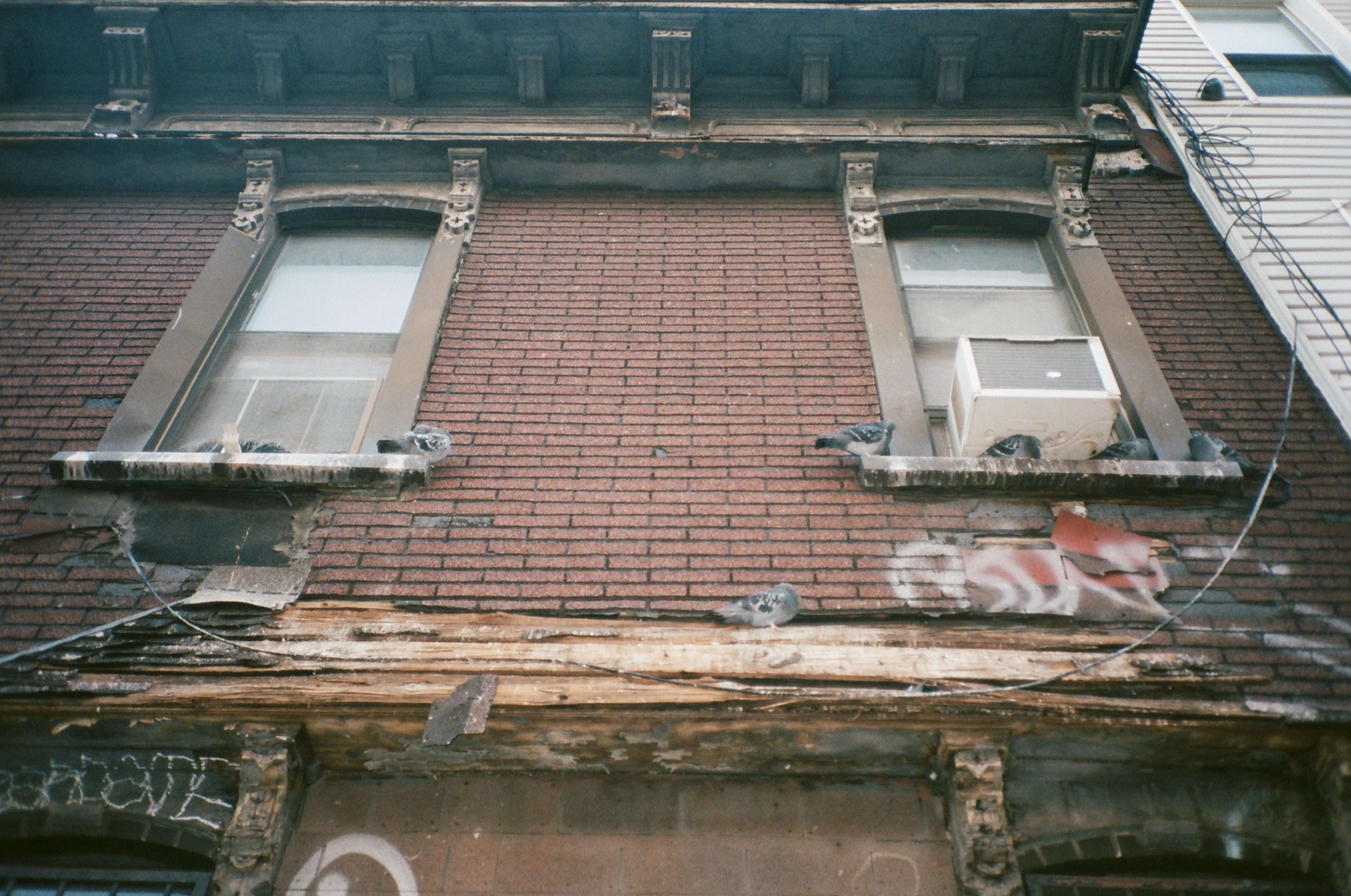 Kodak Portra 400 Color - Image 7