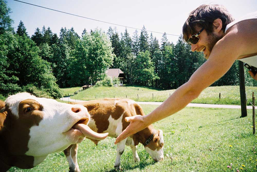 Lomography 400 | Color - Image 7