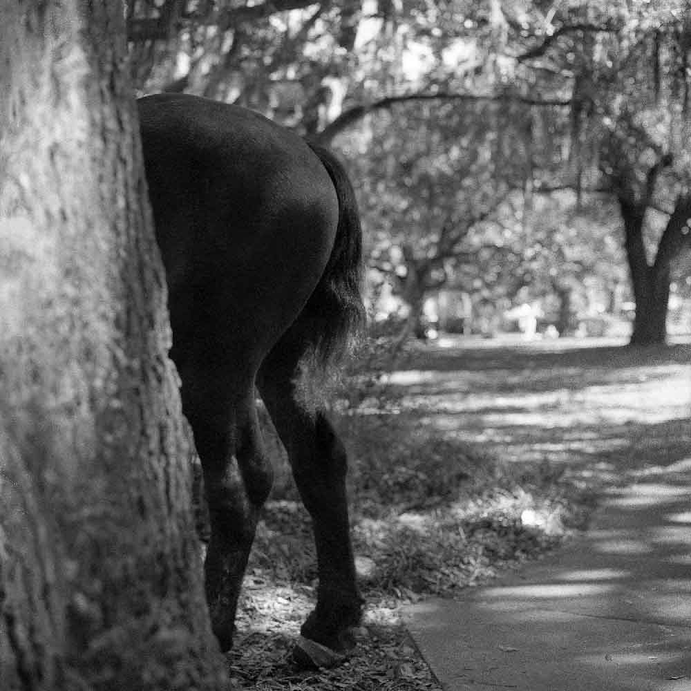 Lomography Lady Grey :: B&W - Image 11