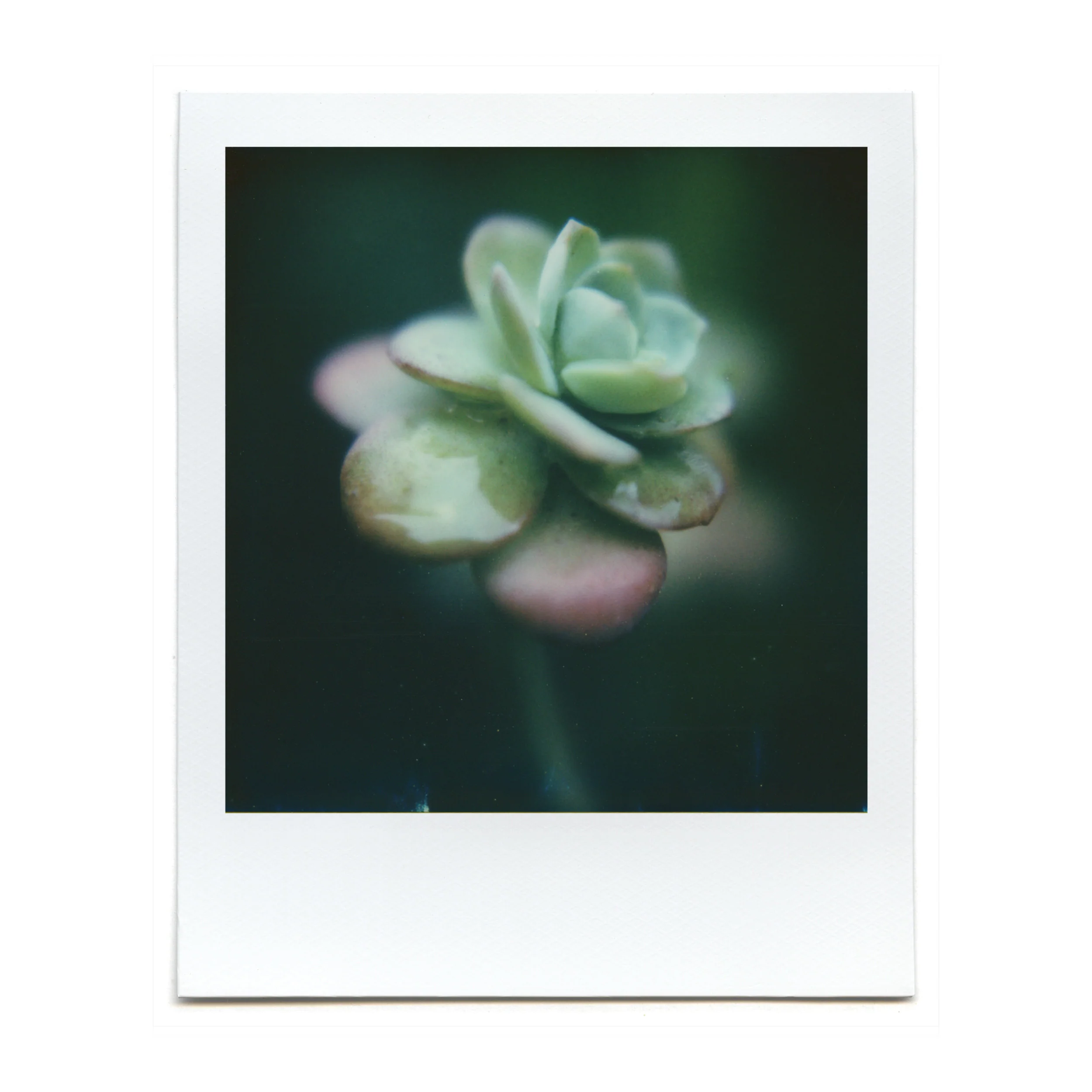 Macro Lens Set - Image 13