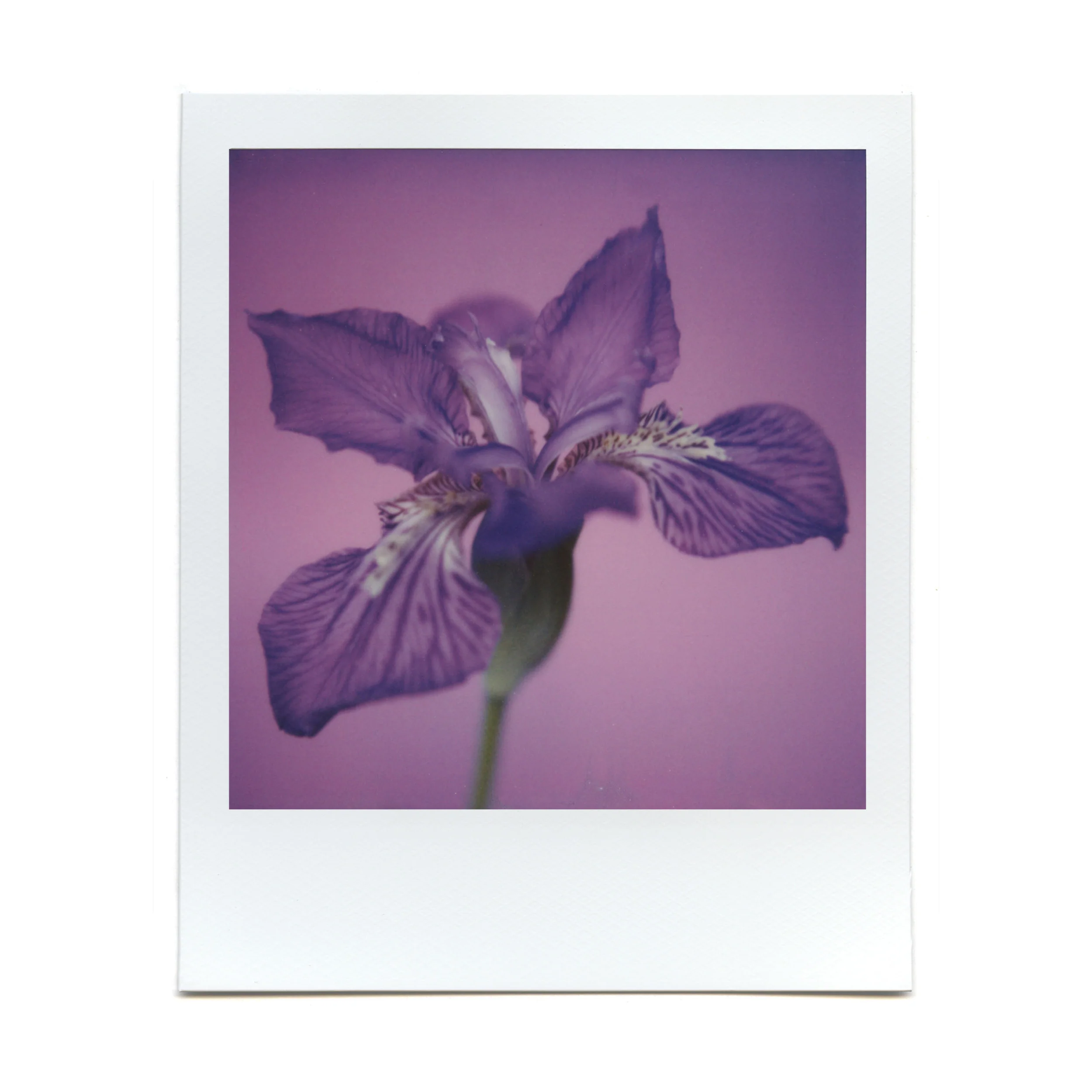 Macro Lens Set - Image 14