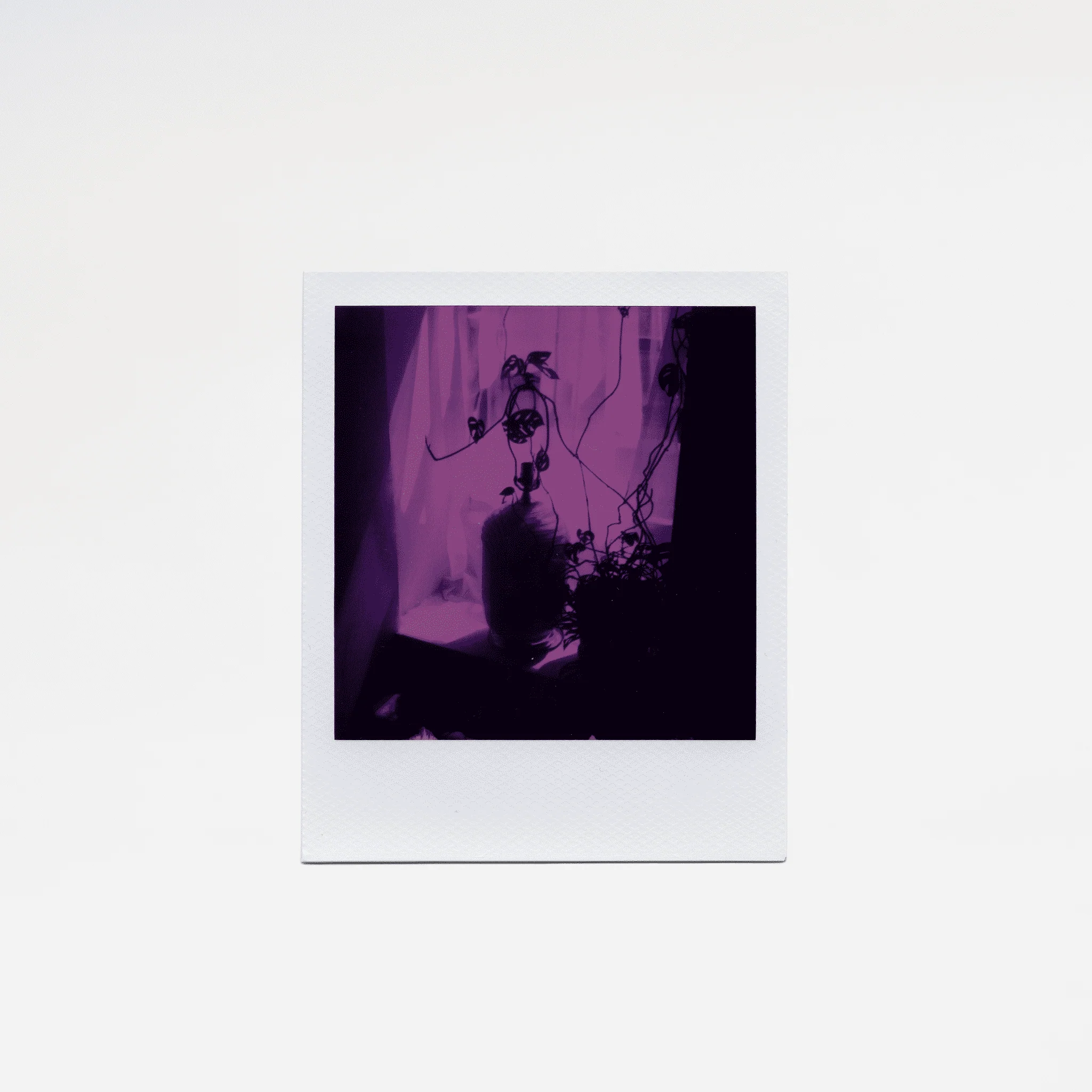 LIMITED EDITION: Polaroid 600 Reclaimed Purple - Image 3