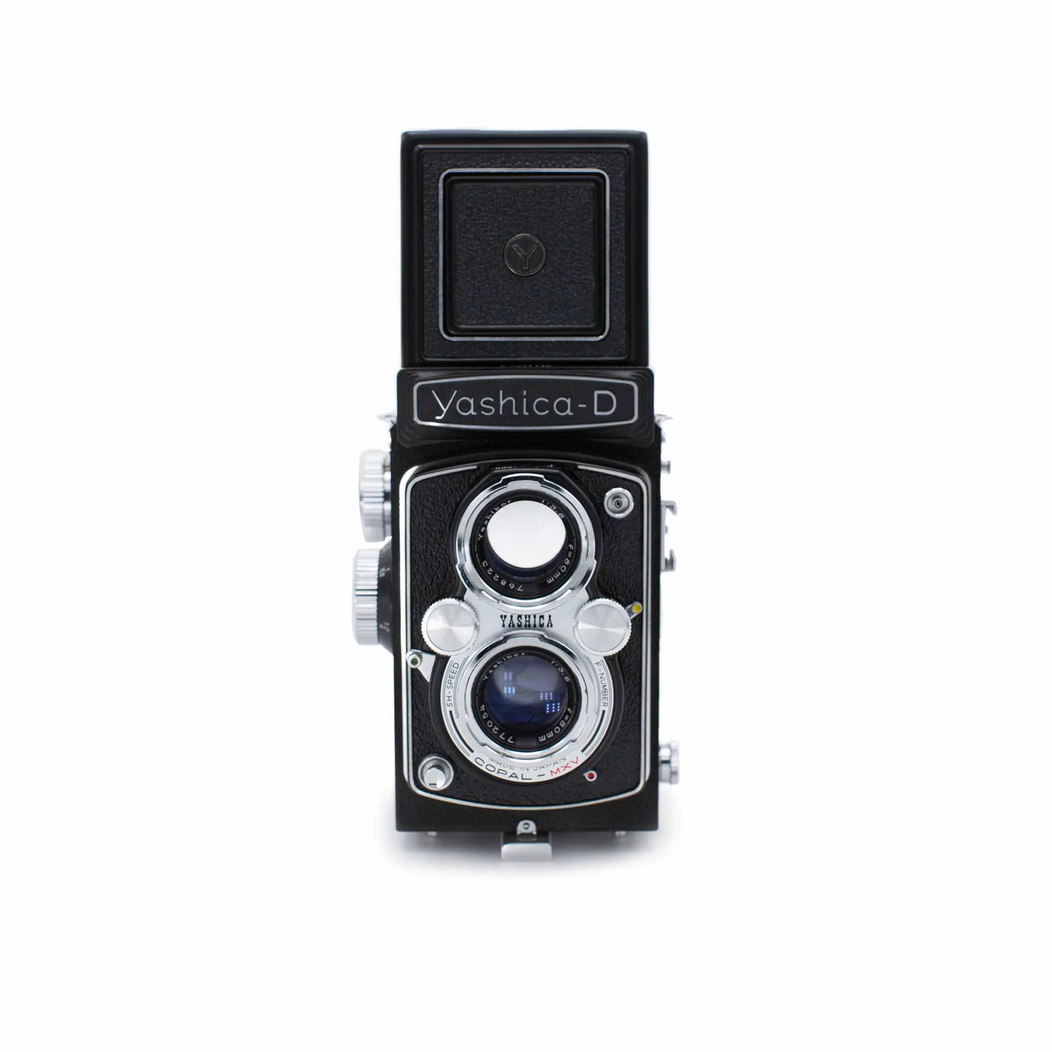 Yashica :: D - Image 2